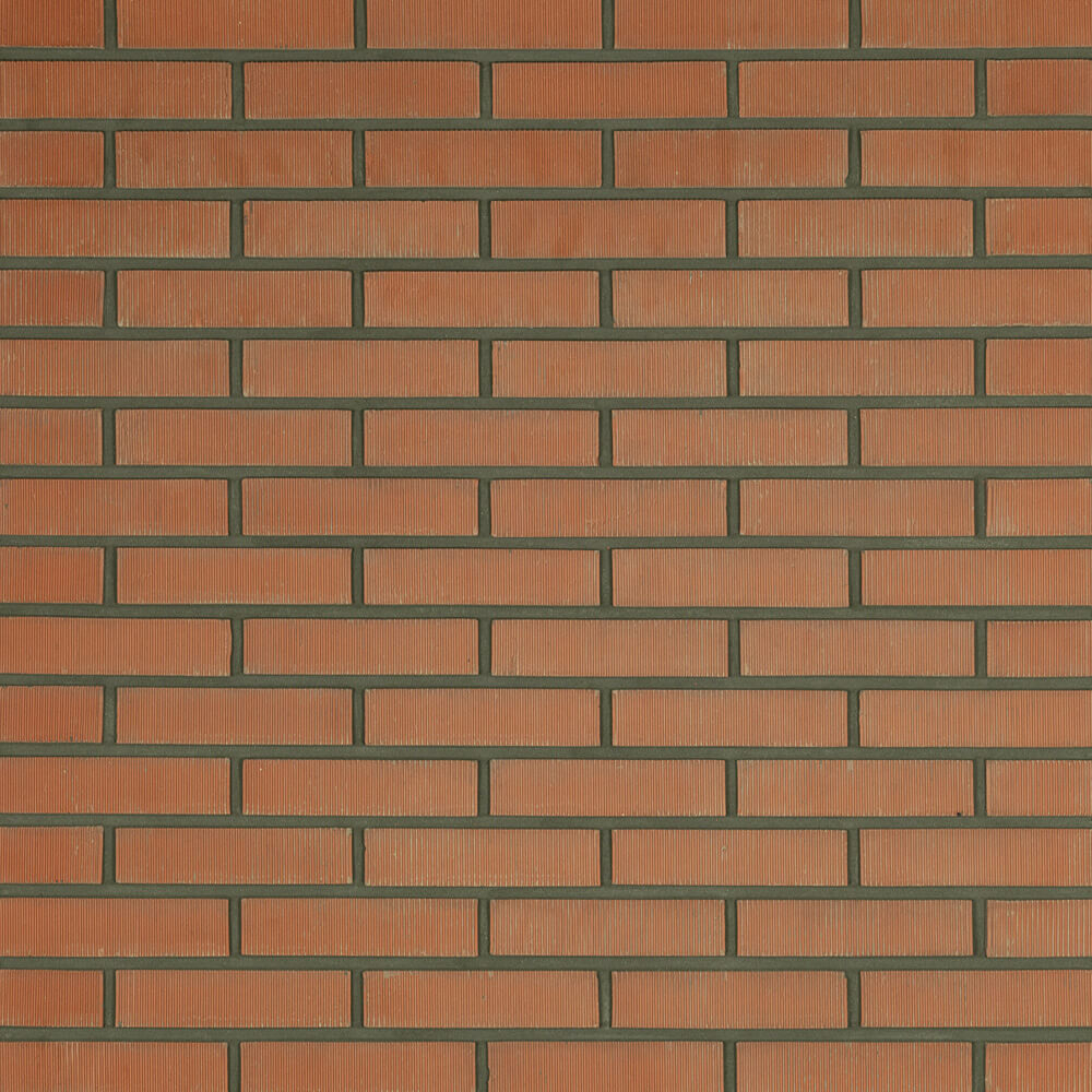 ROOD GROFGEKAMMD WF P 0009 01